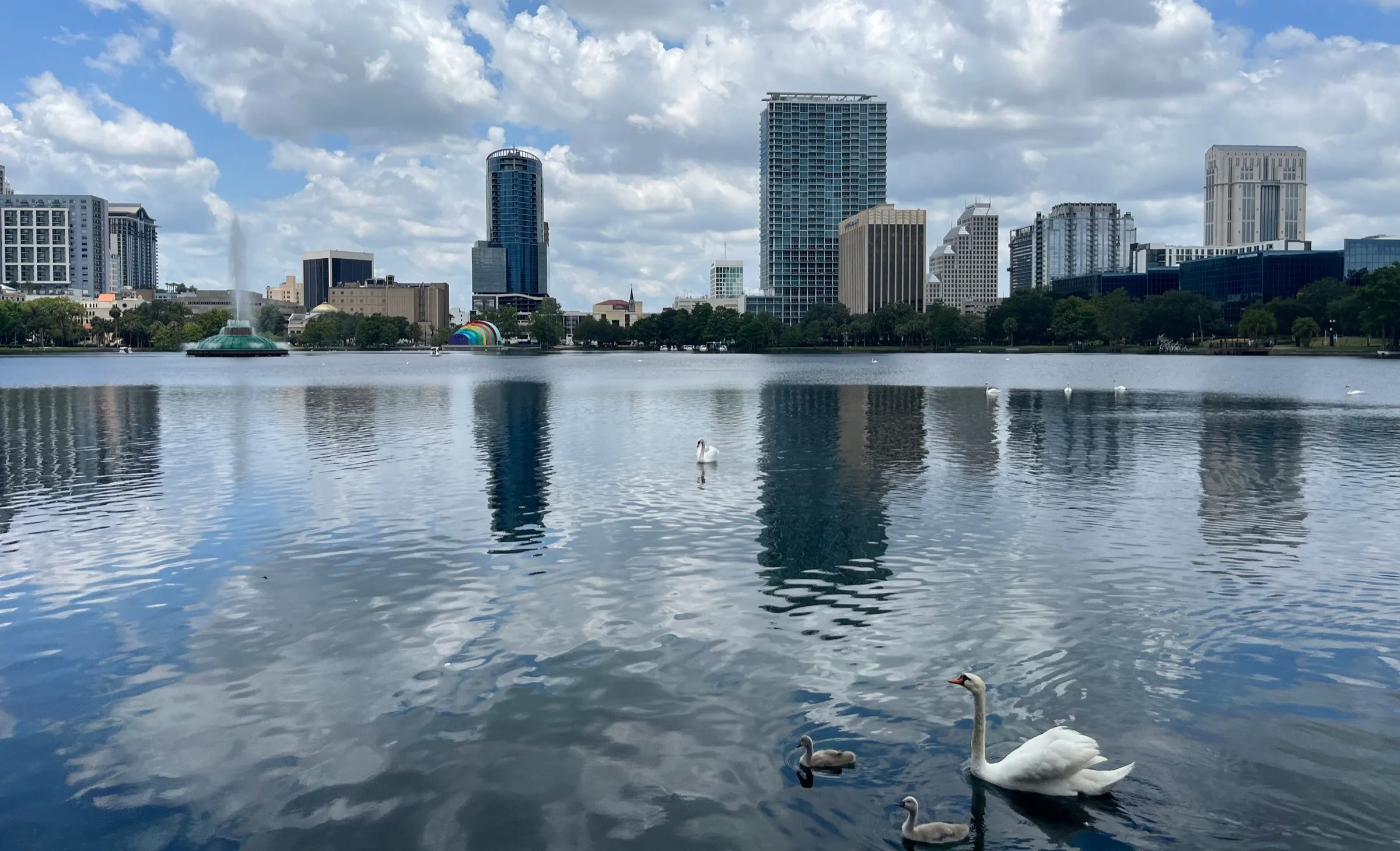 Downtown Orlando's towers across Lake Eola on a sunny day, with the lake's fountain and the rainbow-striped bandshell on the far shore and swans in the foreground